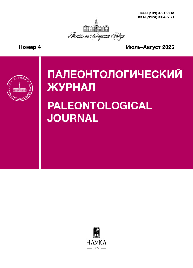 Логотип Заголовка Страницы